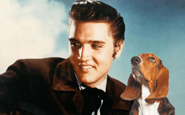 Hound Dog - Elvis Presley