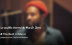 Le souffle éternel de Marvin Gaye